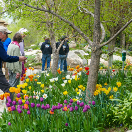 Botanic Gardens Tour 6/20